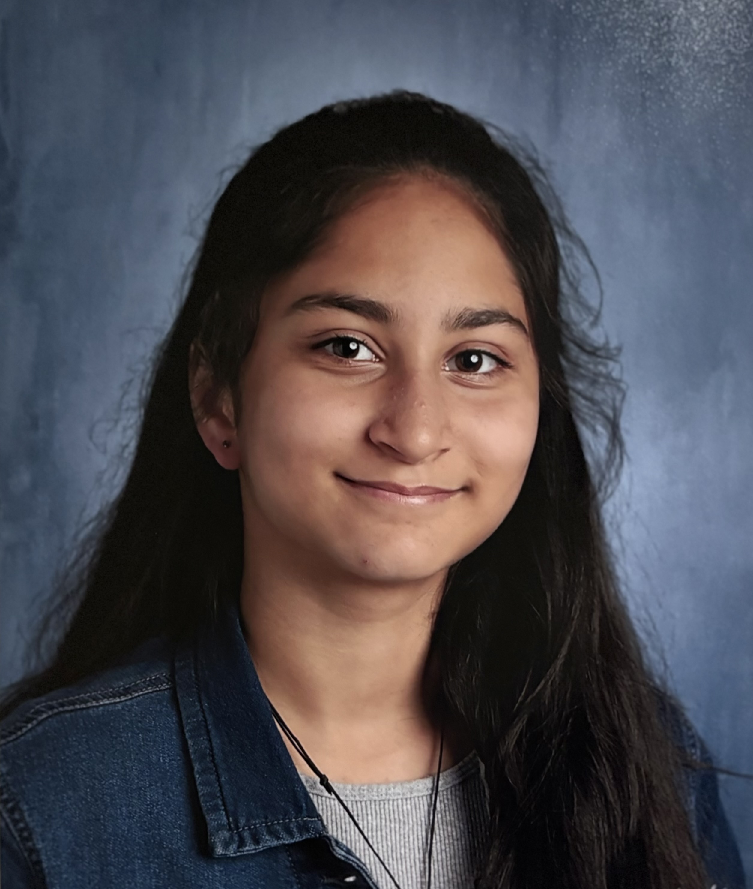 Sneha Shah's artwork