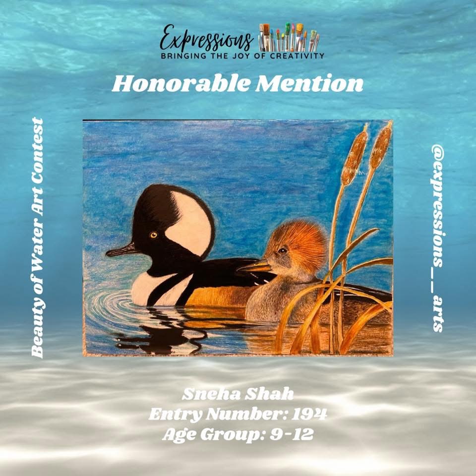 Art Competition Award